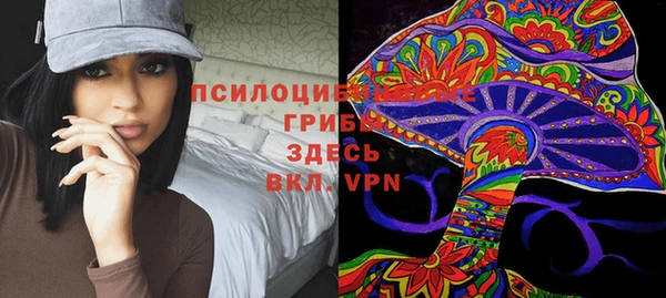 твердый Зеленокумск