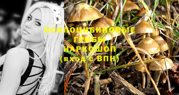 хмурый Инта