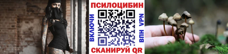 кракен сайт  Карабаново  Псилоцибиновые грибы ЛСД  сколько стоит 
